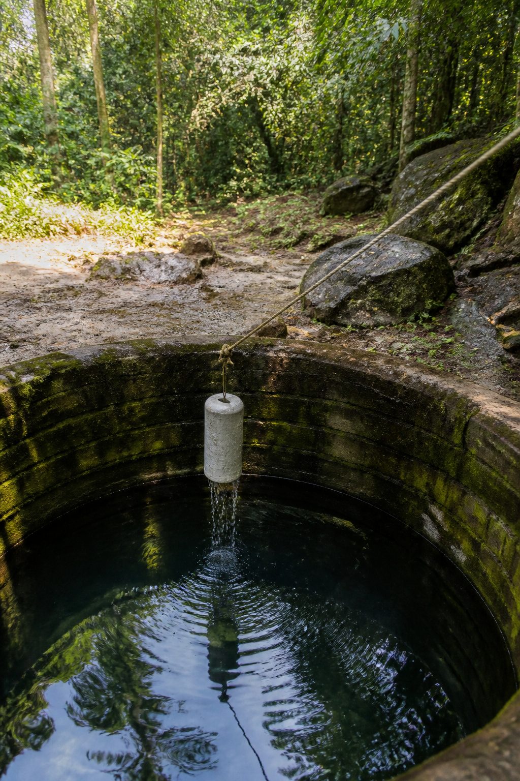 Bailer bucket being retrieved from the water.