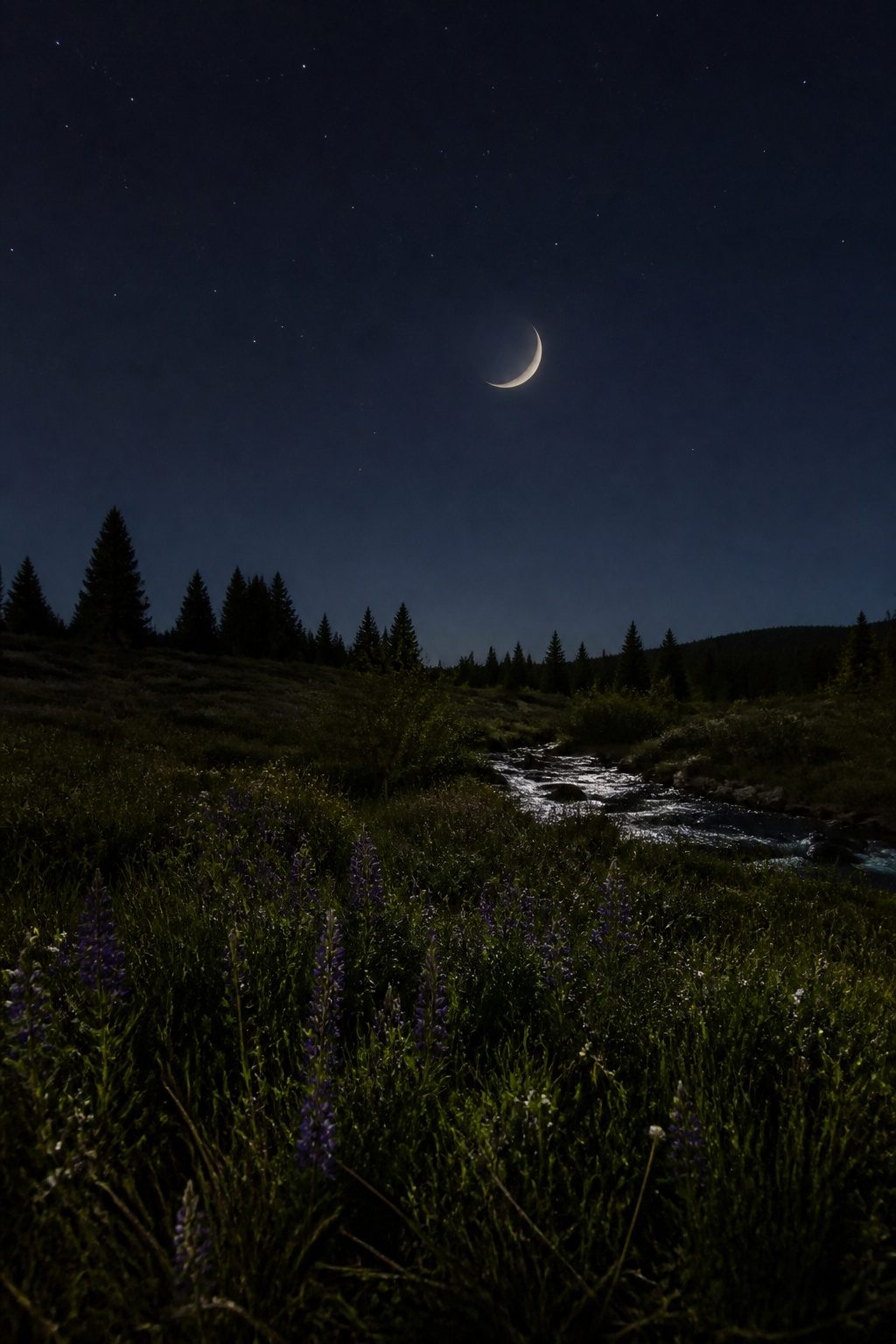 How to Find North at Night in 2026: 5 Steps Using Stars and Moon 5 A low crescent moon shining in a dark night sky.
