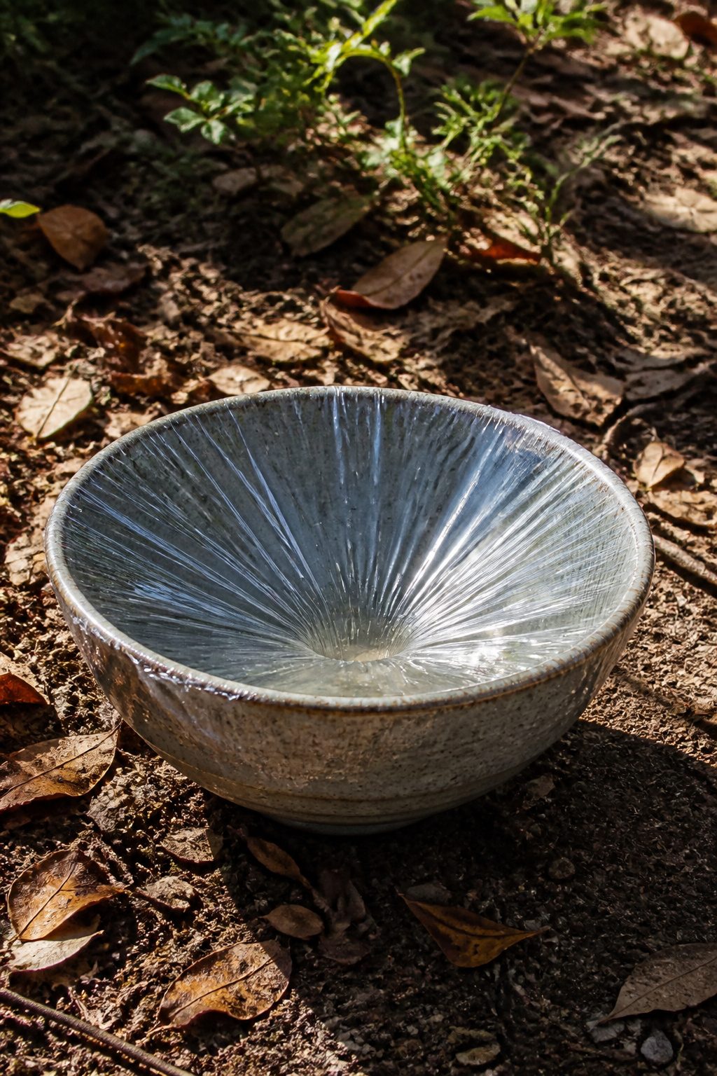 How to Make a Solar Still: Seven Steps for Clear Water 5 A bowl covered with tightly stretched plastic wrap against autumn leaves.