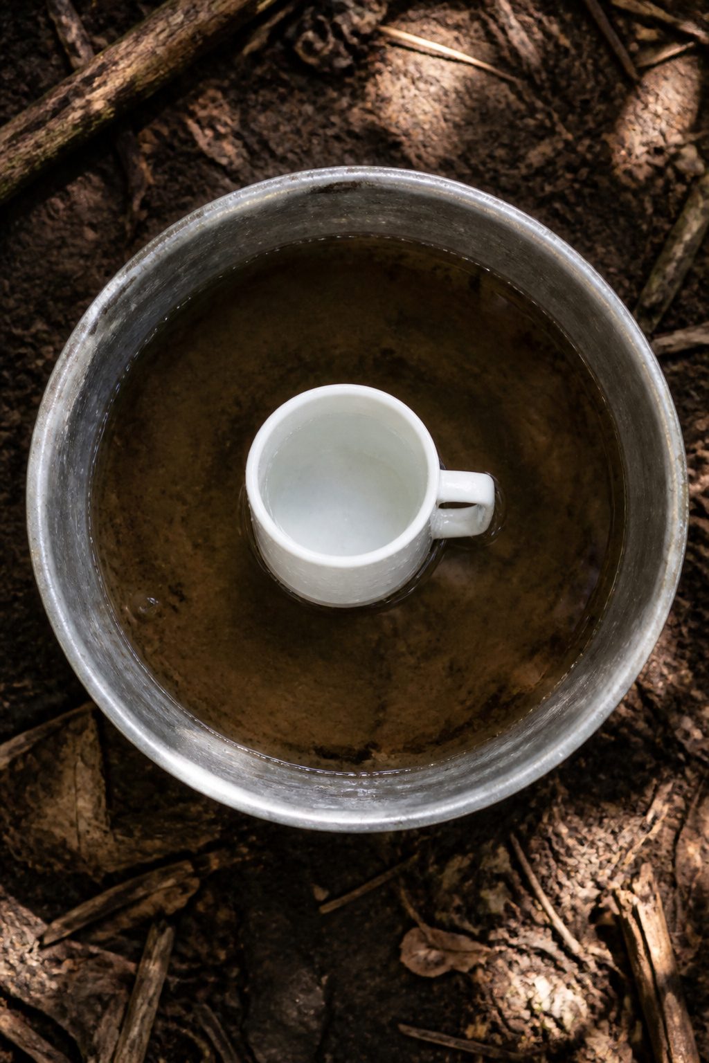 How to Make a Solar Still: Seven Steps for Clear Water 4 A collection cup positioned in the center of a bowl filled with water.