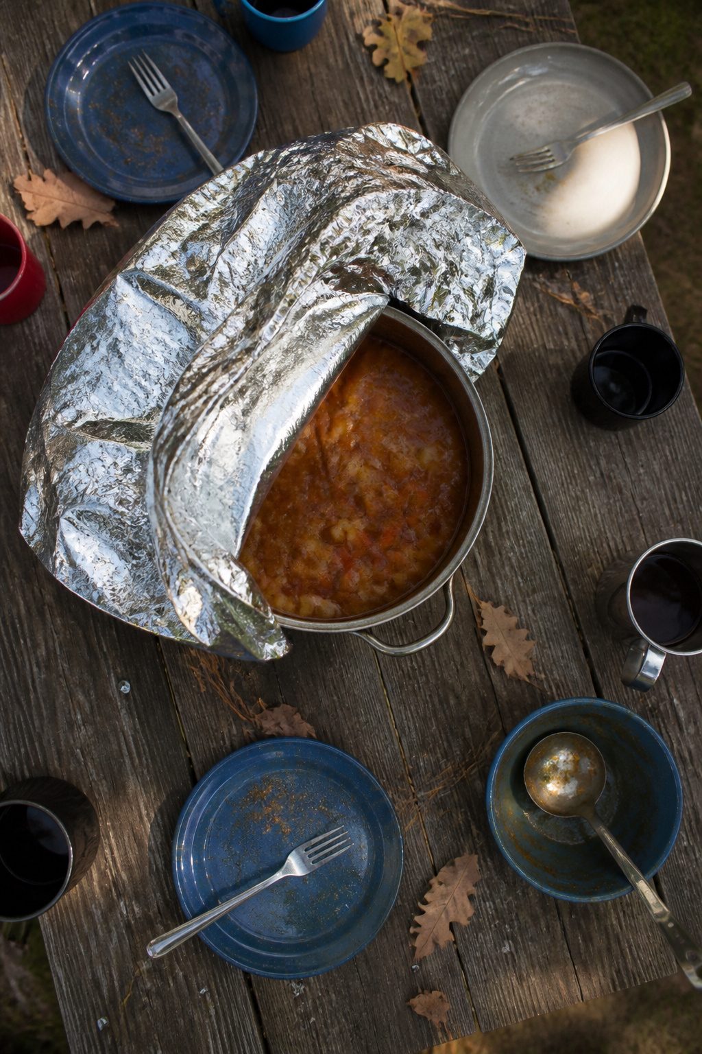Mylar Blanket Uses: 38 Practical Ideas for Emergencies & Daily Life (2026) 9 A mylar blanket draped over a pot, protecting it from insects.