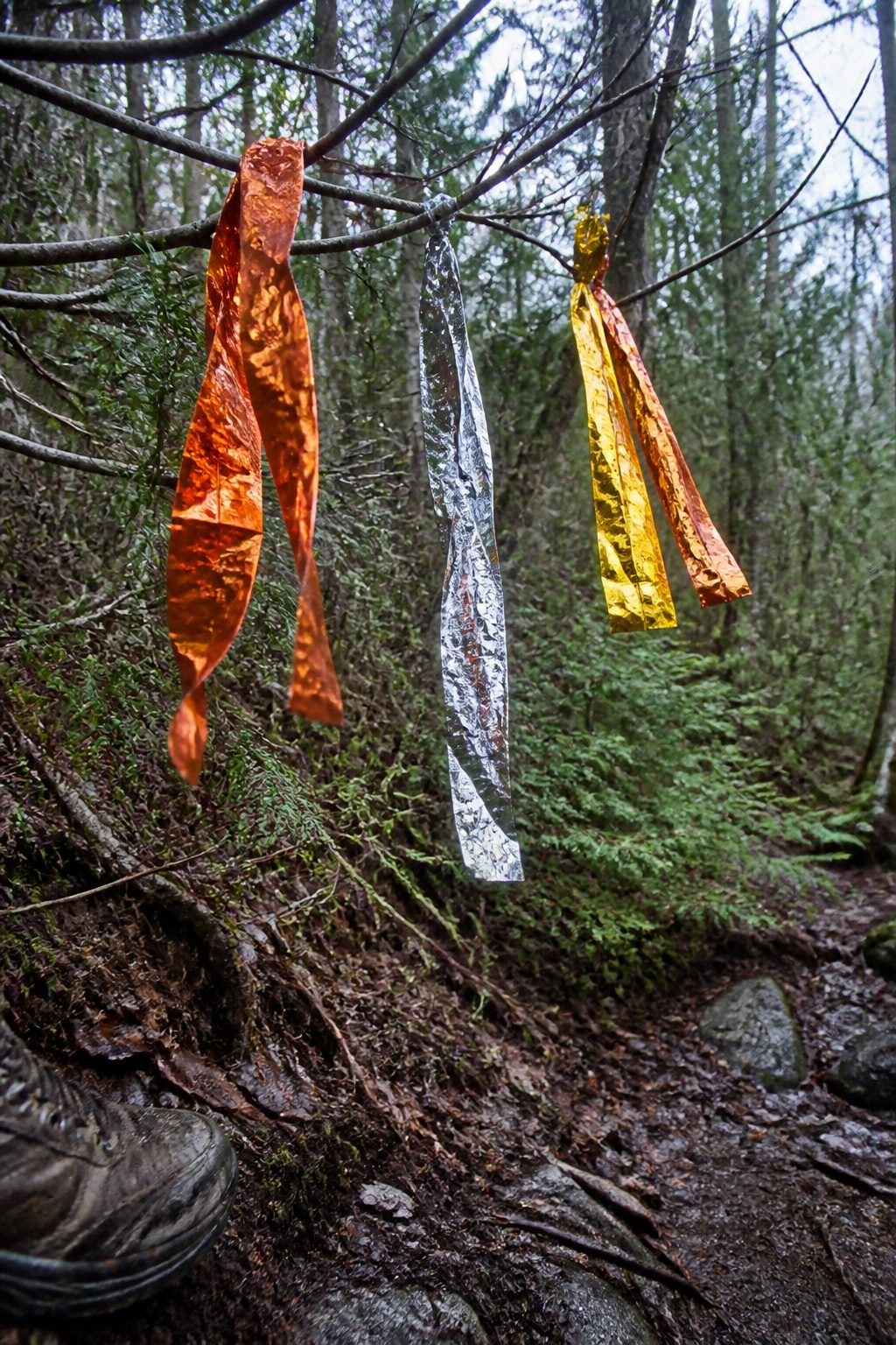 Mylar Blanket Uses: 38 Practical Ideas for Emergencies & Daily Life (2026) 5 Strips of mylar blanket tied to branches, reflecting light on a trail.
