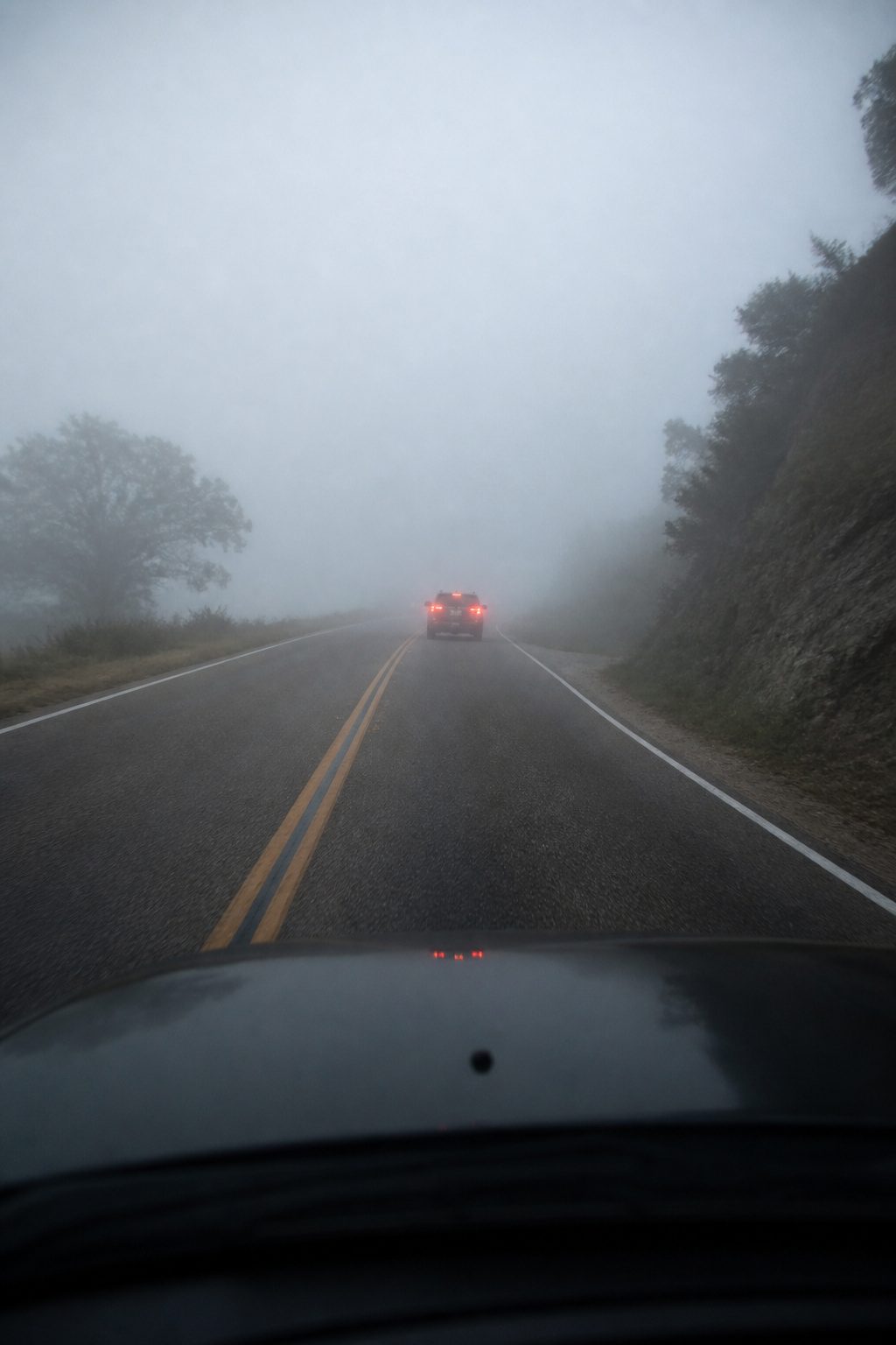Safety Tips for Driving in the Fog: 9 Ways to Stay Safe in 2026 12 A driver scanning the road ahead in fog.