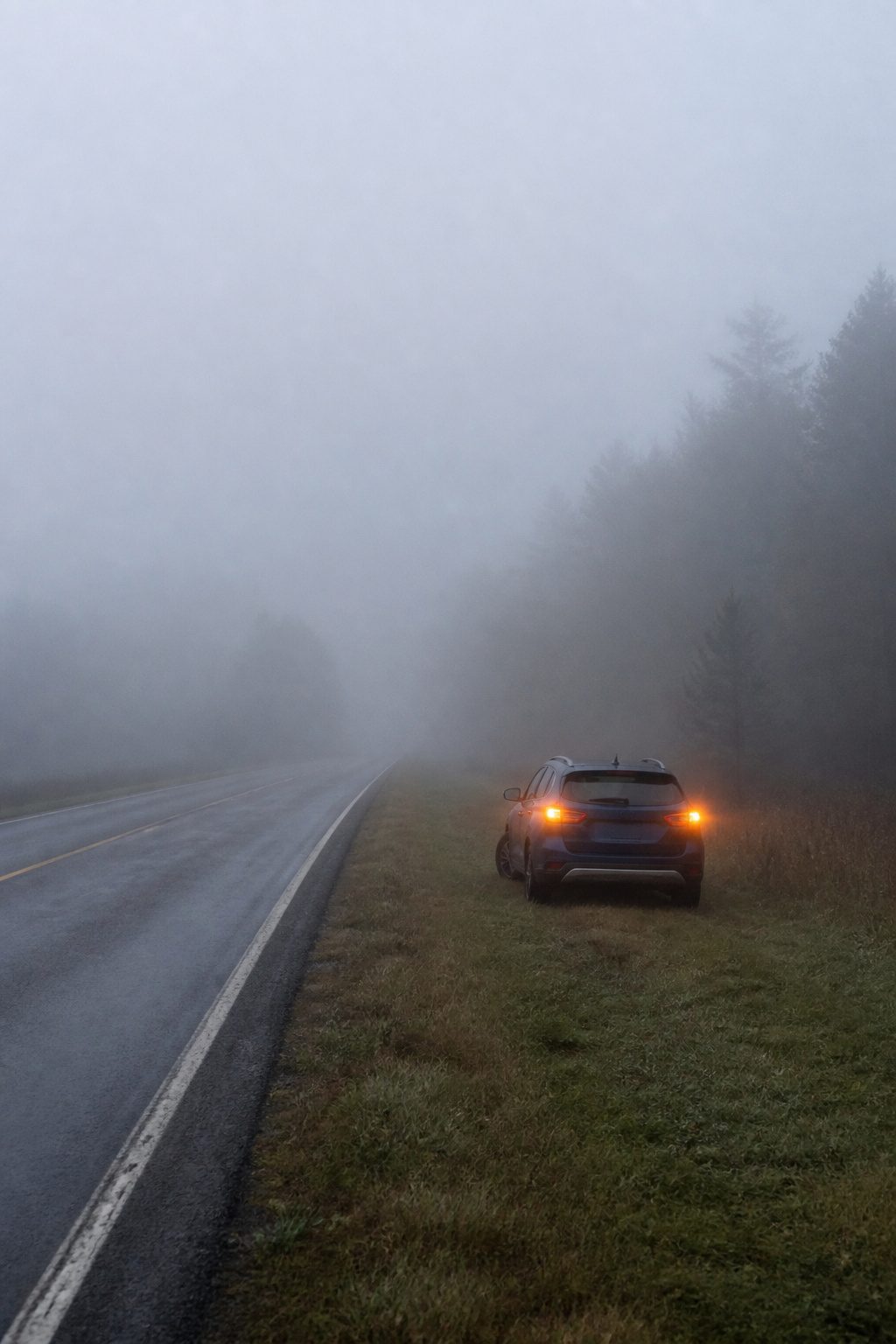 Safety Tips for Driving in the Fog: 9 Ways to Stay Safe in 2026 9 A car parked on the shoulder of a road in fog.