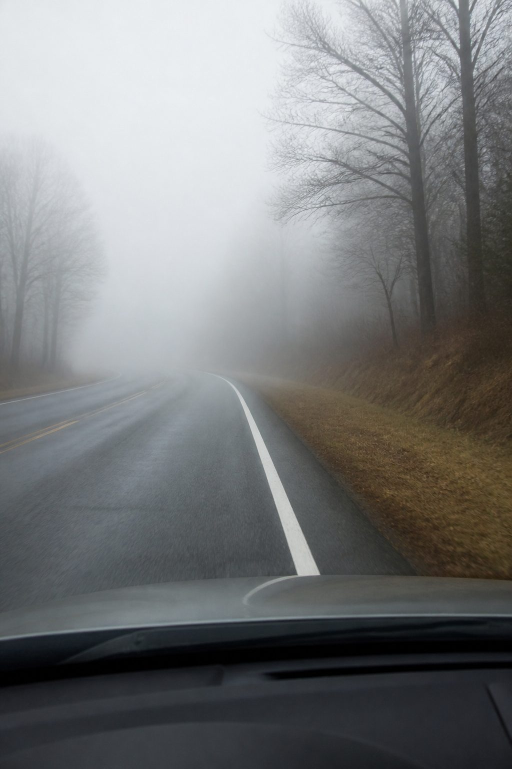 Safety Tips for Driving in the Fog: 9 Ways to Stay Safe in 2026 5 A close-up of a white road marking in thick fog.
