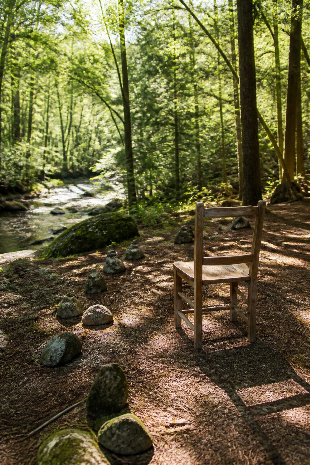 Survival Priorities: What Comes First in the Backcountry 13 A solitary wooden chair facing a sunlit clearing in a forest.
